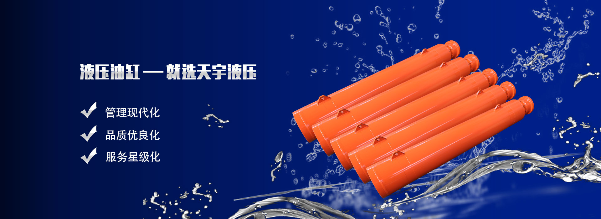 常州市武进天宇液压件有限公司